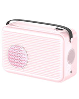 Portable electric warm air dryer for shoes and clothes A-3