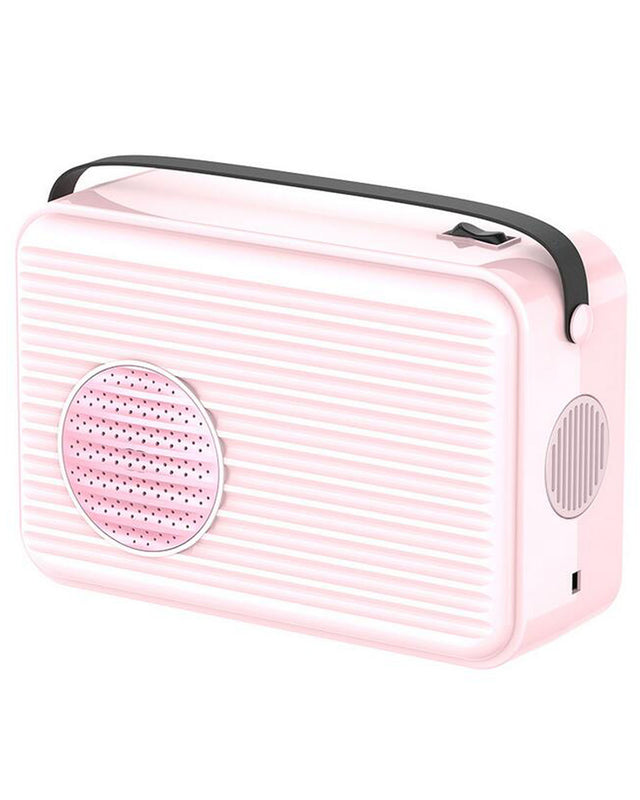 Portable electric warm air dryer for shoes and clothes A-3