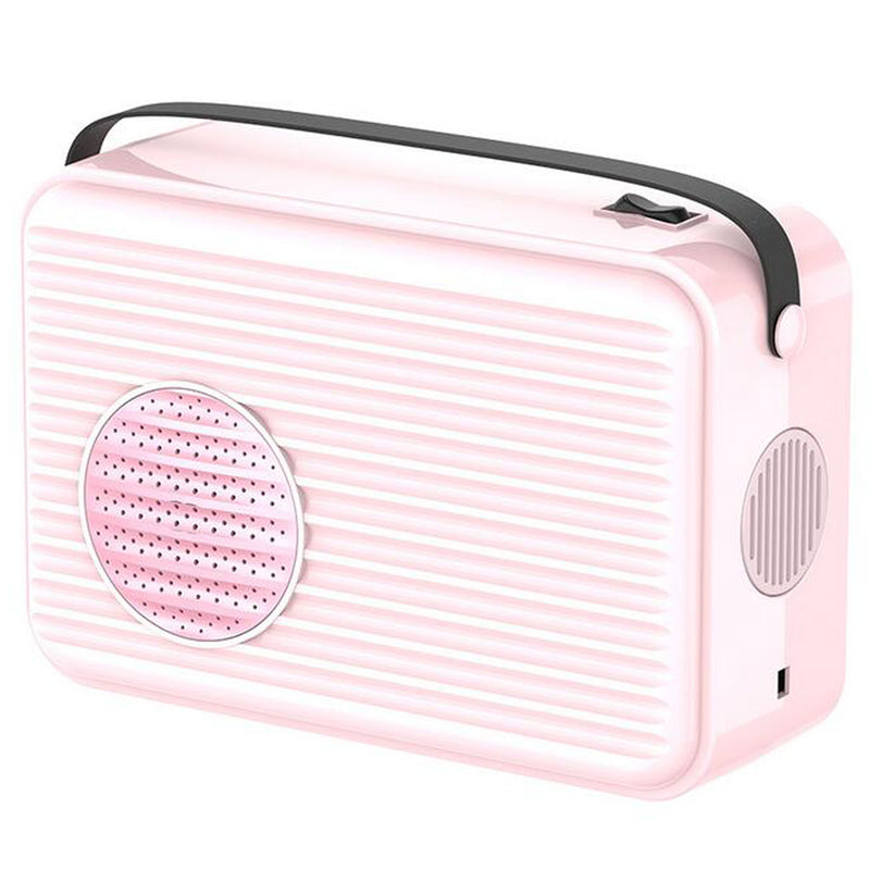 Portable electric warm air dryer for shoes and clothes A-3